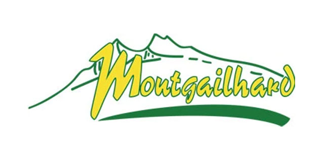 Réglement - Marché de Noël de Montgailhard